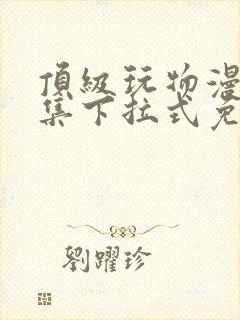 顶级玩物漫画全集下拉式免费观看