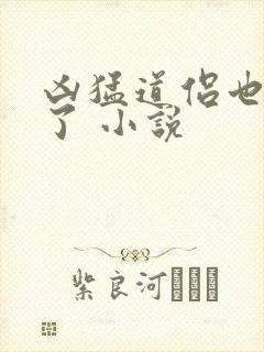 凶猛道侣也重生了 小说