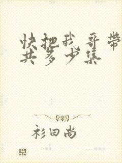 快把我哥带走一共多少集
