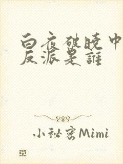 白夜破晓中最大反派是谁