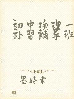 初中物理一对一补习辅导班