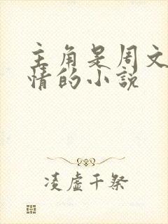 主角是周文的言情的小说