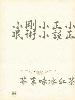 小刚小正小柔催眠术小说正版阅读