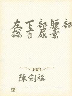 左下部腹部疼痛总有尿意