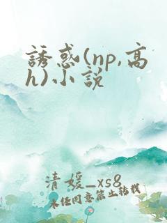 诱惑(np,高h)小说