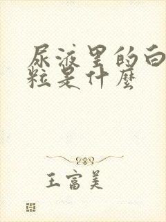 尿液里的白色颗粒是什么