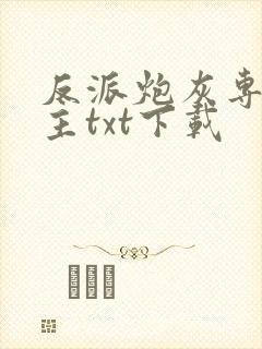 反派炮灰专偷女主txt下载