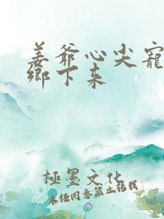 姜爷心尖宠她从乡下来