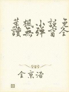 叶枫小说免费阅读无弹窗全文