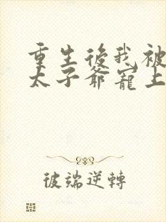 重生后我被京圈太子爷宠上天短剧免费