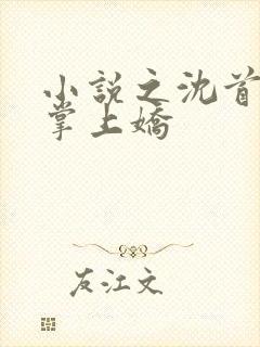 小说之沈首辅的掌上娇