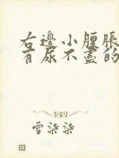 右边小腹胀痛总有尿不尽的感觉什么原因