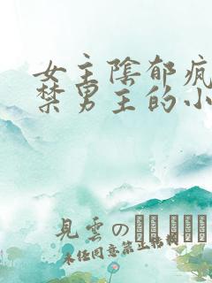 女主阴郁疯批囚禁男主的小说