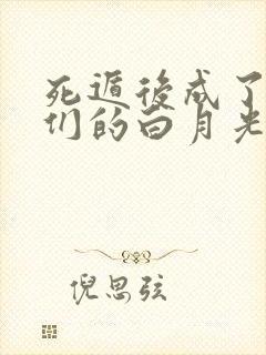 死遁后成了大佬们的白月光在线看