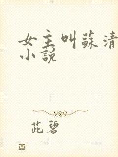 女主叫苏清颜的小说