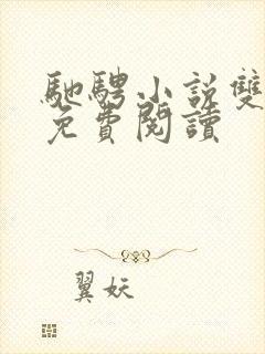 驰骋小说双男主免费阅读