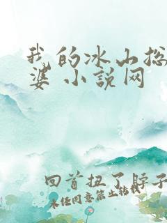 我的冰山总裁老婆 小说网