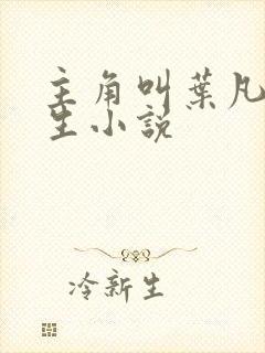 主角叫叶凡的重生小说