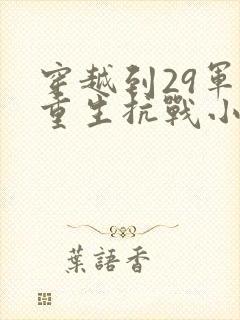 穿越到29军的重生抗战小说