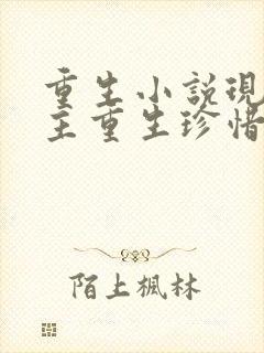 重生小说现代女主重生珍惜男主