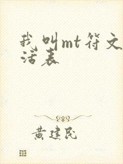 我叫mt符文激活表