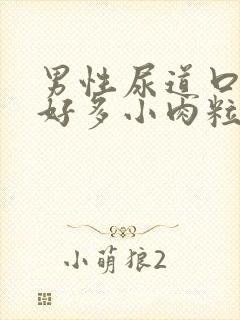 男性尿道口上有好多小肉粒