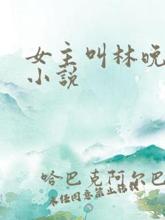 女主叫林晚意的小说
