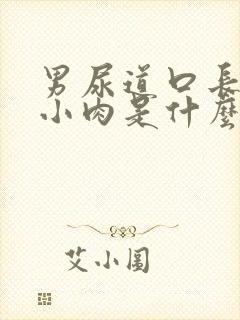 男尿道口长了个小肉是什么