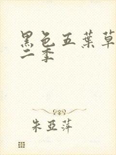 黑色五叶草 第二季
