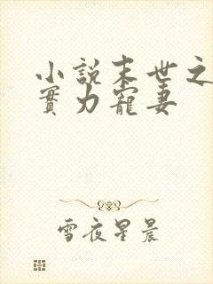 小说末世之枭爷实力宠妻