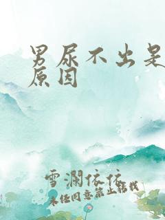 男尿不出是什么原因