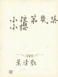 小狼第几集喜欢小樱