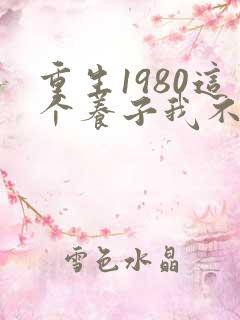 重生1980这个养子我不当了短剧合集