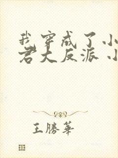 我穿成了小说昏君大反派 小说