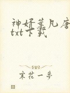 神婿叶凡唐若雪txt下载