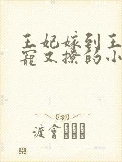 王妃嫁到王爷又宠又撩的小说