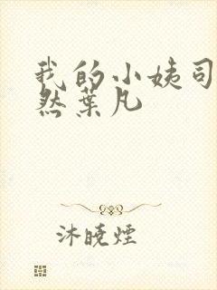 我的小姨司空嫣然叶凡