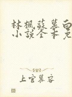 林枫苏慕白穿越小说全本免费阅读1057