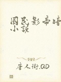 国民影帝暗恋我小说