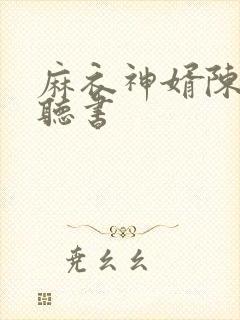 麻衣神婿陈黄皮听书