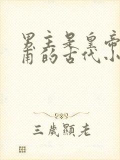 男主是皇帝姓皇甫的古代小说