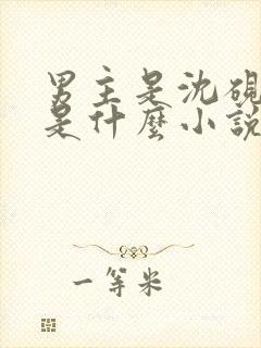 男主是沈砚修的是什么小说