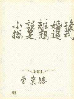 小说离婚后前夫总是想追我免费阅读