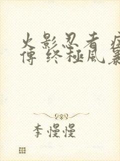 火影忍者 疾风传 终极风暴4