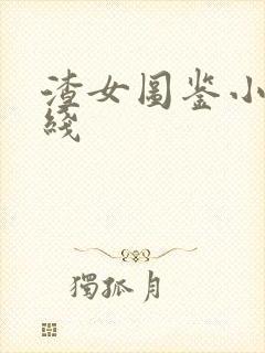 渣女图鉴小说在线