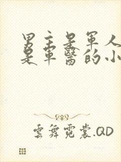 男主是军人女主是军医的小说