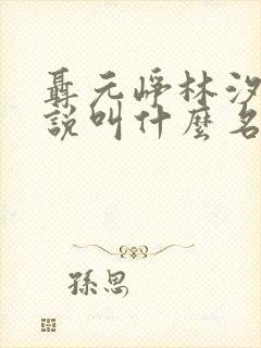 聂元峥林汐汐小说叫什么名字