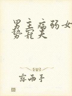 男主病弱女主强势宠夫