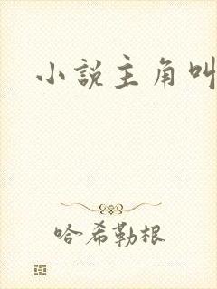 小说主角叫江凡