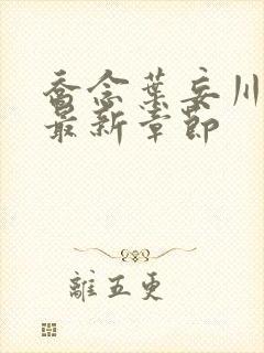 乔念叶妄川小说最新章节